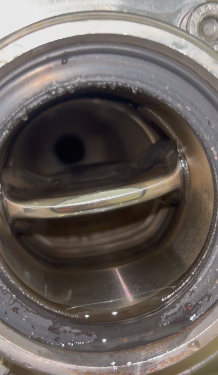 DN25 brewhouse panel piping showing brown deposits — clean with Wasserstoffperoxid