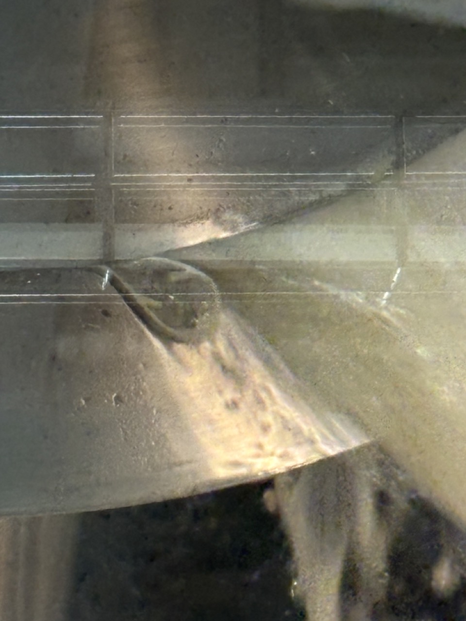 Safety ring from a sugar container fell into the boil and was caught by the kettle strainer